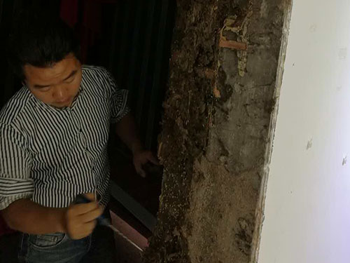 白蚁啃食的木门2