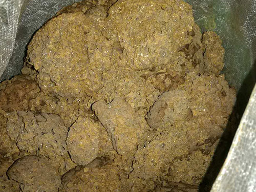 挖出来的白蚁老巢