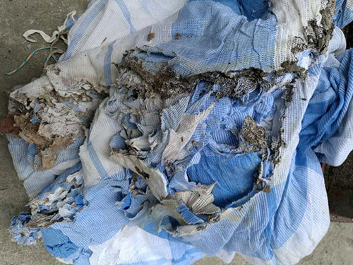 白蚁啃食的床单